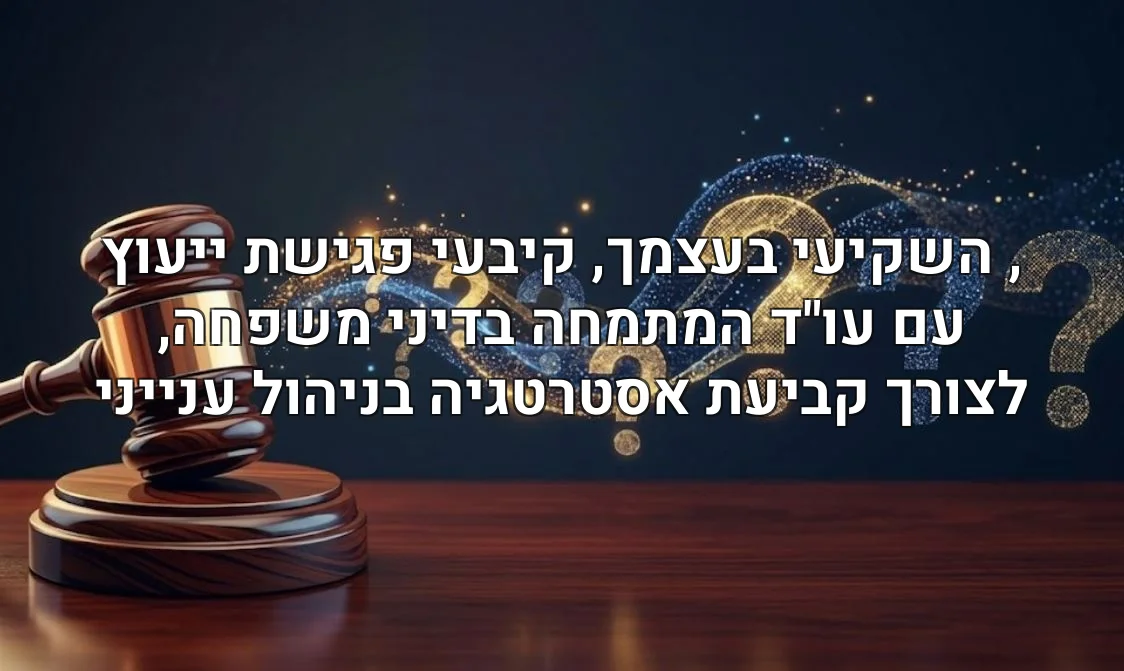 , השקיעי בעצמך, קיבעי פגישת ייעוץ עם עו"ד המתמחה בדיני משפחה, לצורך קביעת אסטרטגיה בניהול ענייני