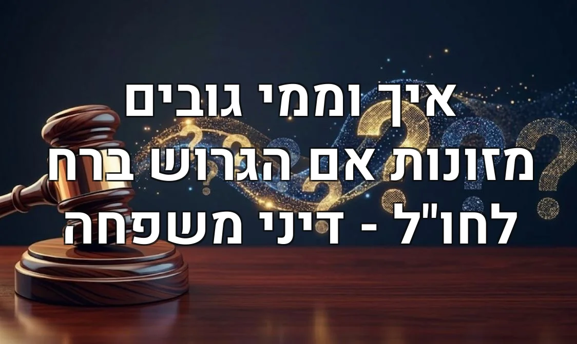 איך וממי גובים מזונות אם הגרוש ברח לחו"ל - דיני משפחה