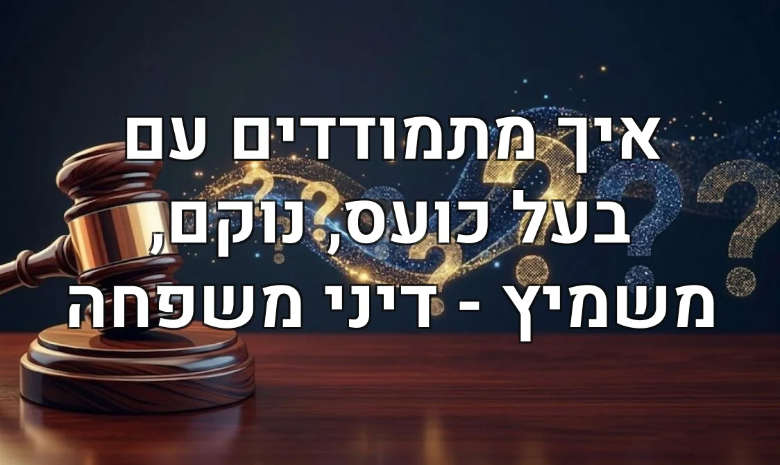 איך מתמודדים עם בעל כועס, נוקם, משמיץ - דיני משפחה