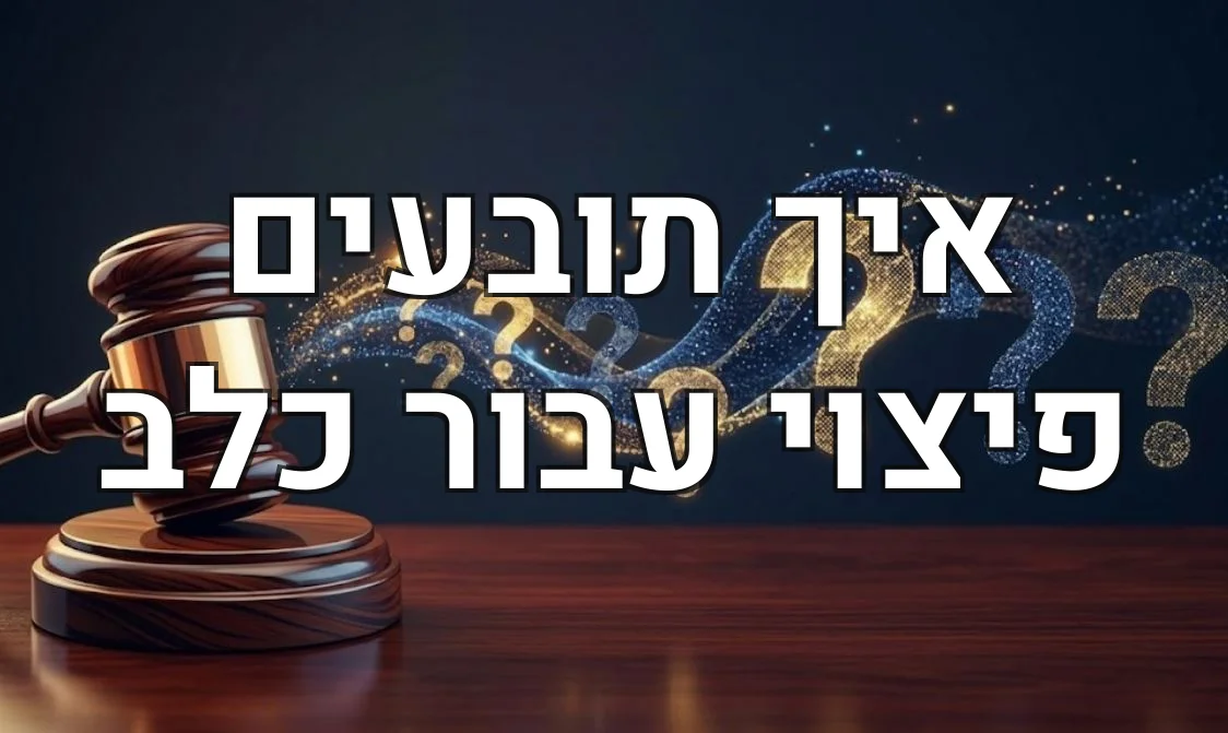 איך תובעים פיצוי עבור כלב