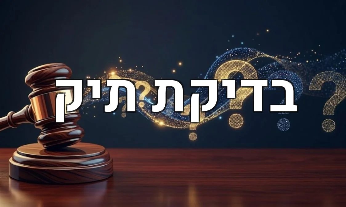בדיקת תיק
