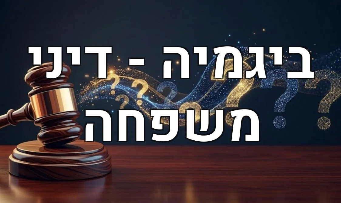 ביגמיה - דיני משפחה