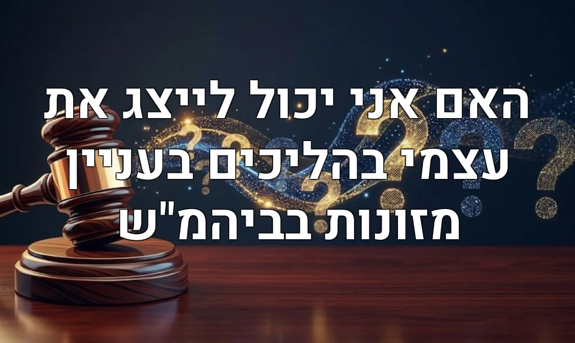 האם אני יכול לייצג את עצמי בהליכים בעניין מזונות בביהמ"ש