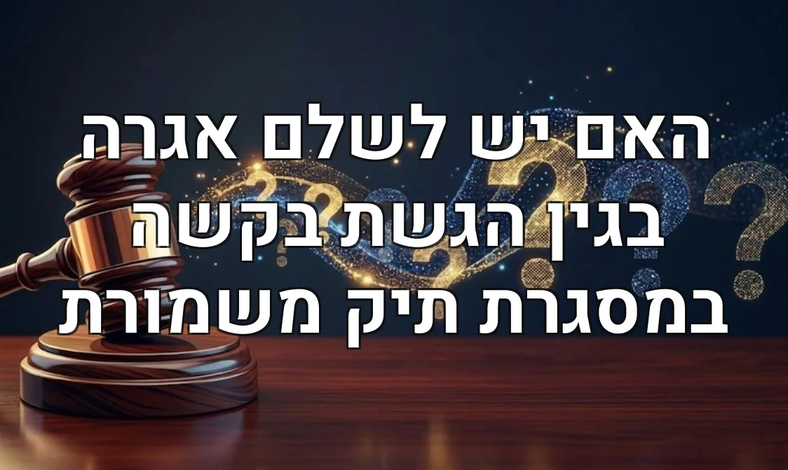 האם יש לשלם אגרה בגין הגשת בקשה במסגרת תיק משמורת