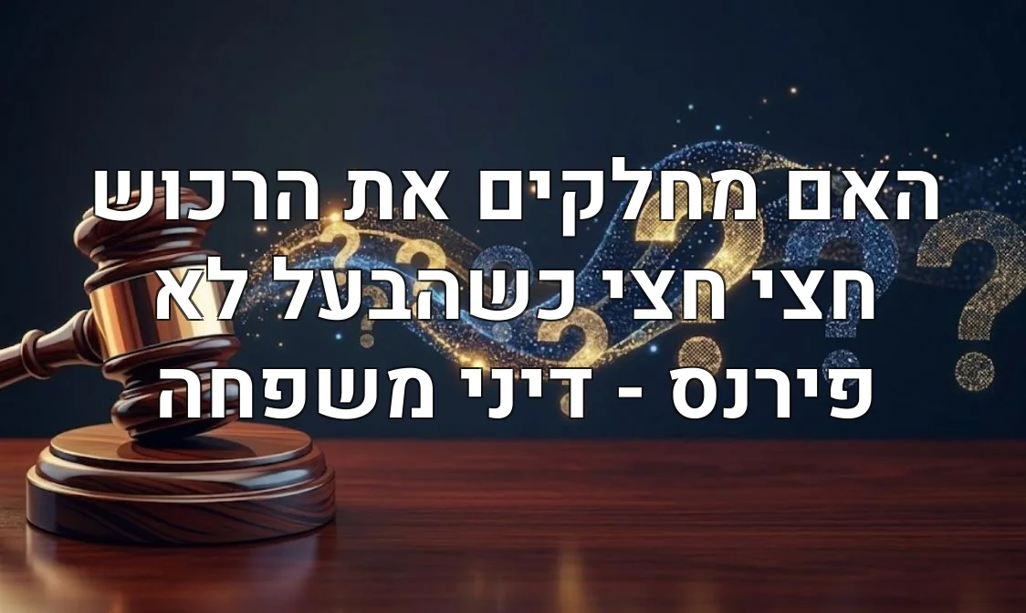 האם מחלקים את הרכוש חצי חצי כשהבעל לא פירנס - דיני משפחה