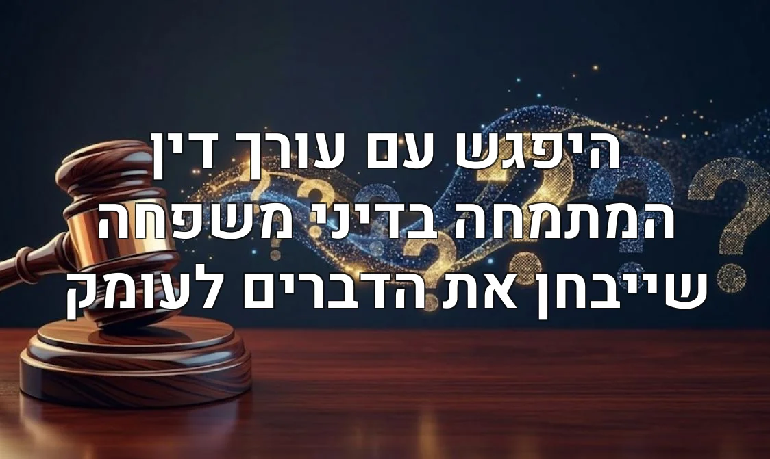 היפגש עם עורך דין המתמחה בדיני משפחה שייבחן את הדברים לעומק