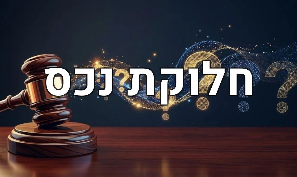 חלוקת נכס