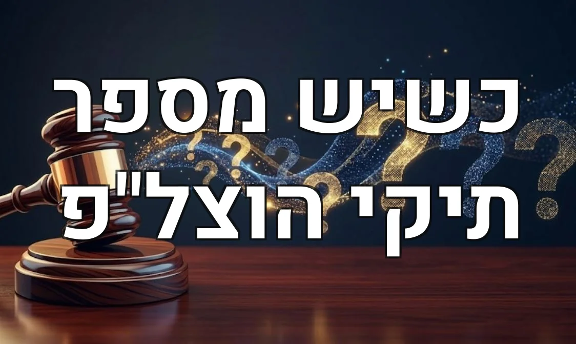 כשיש מספר תיקי הוצל"פ
