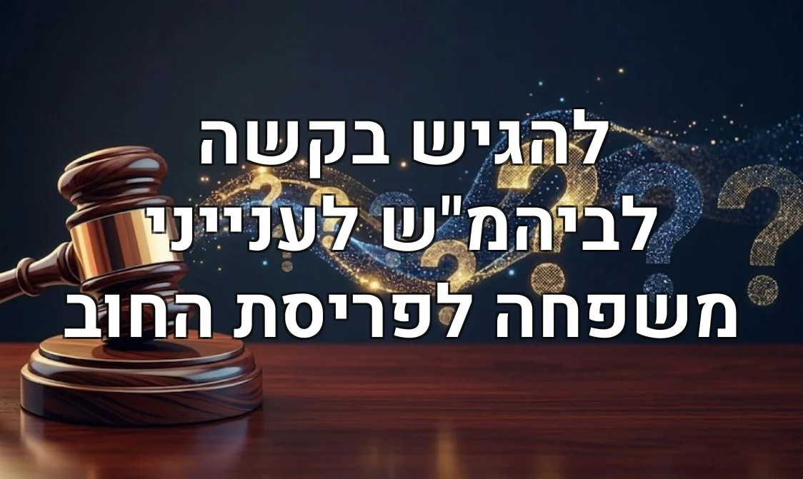 להגיש בקשה לביהמ"ש לענייני משפחה לפריסת החוב