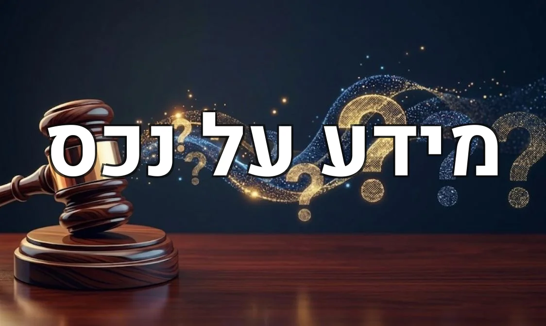 מידע על נכס