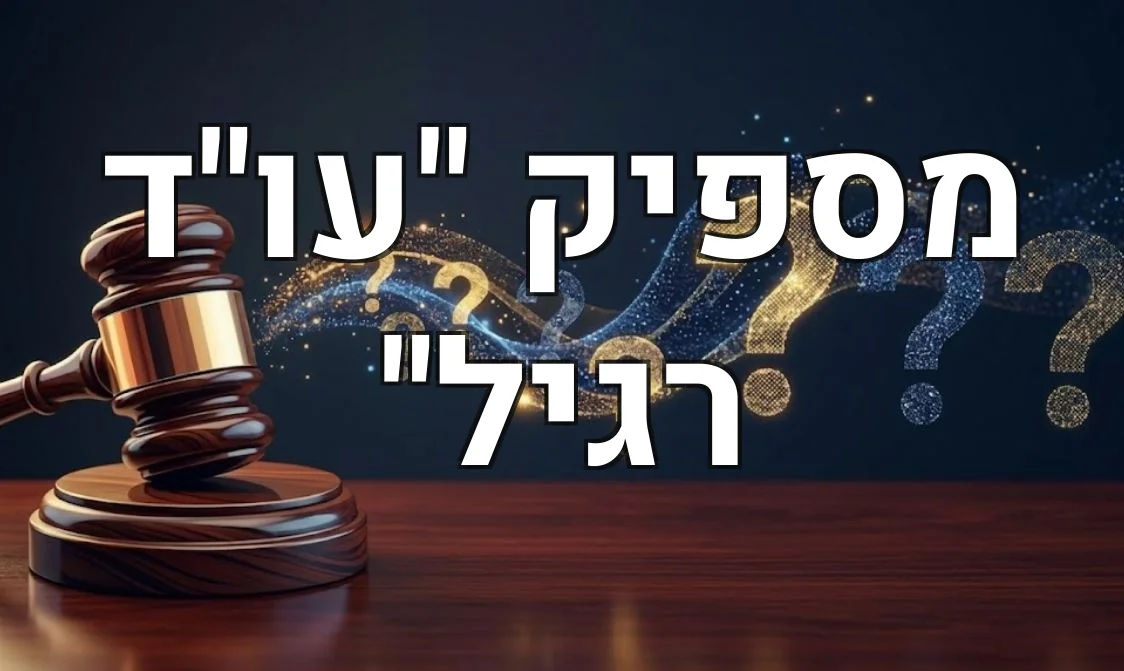 מספיק "עו"ד רגיל"