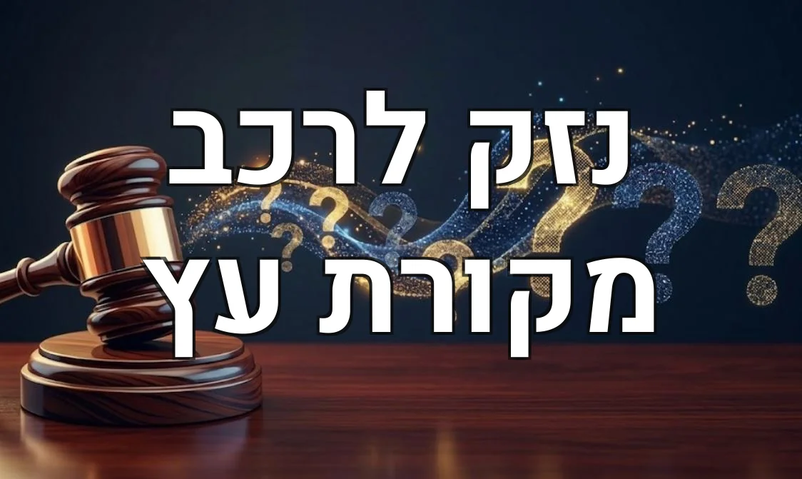 נזק לרכב מקורת עץ