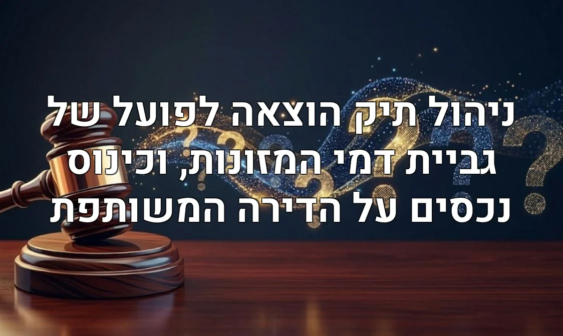ניהול תיק הוצאה לפועל של גביית דמי המזונות, וכינוס נכסים על הדירה המשותפת