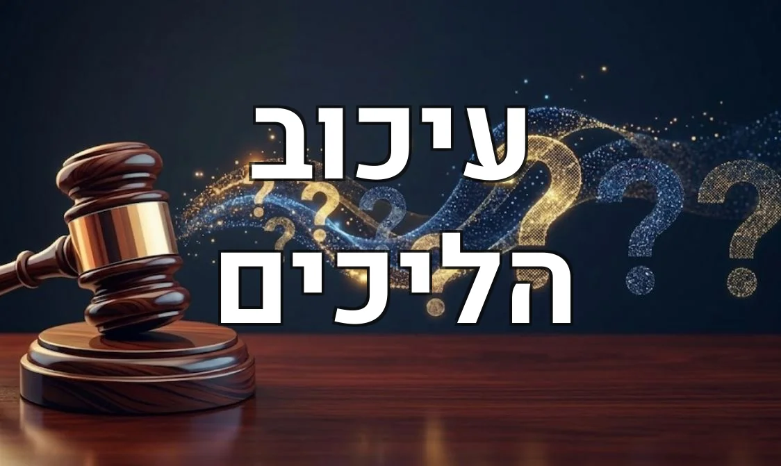 עיכוב הליכים