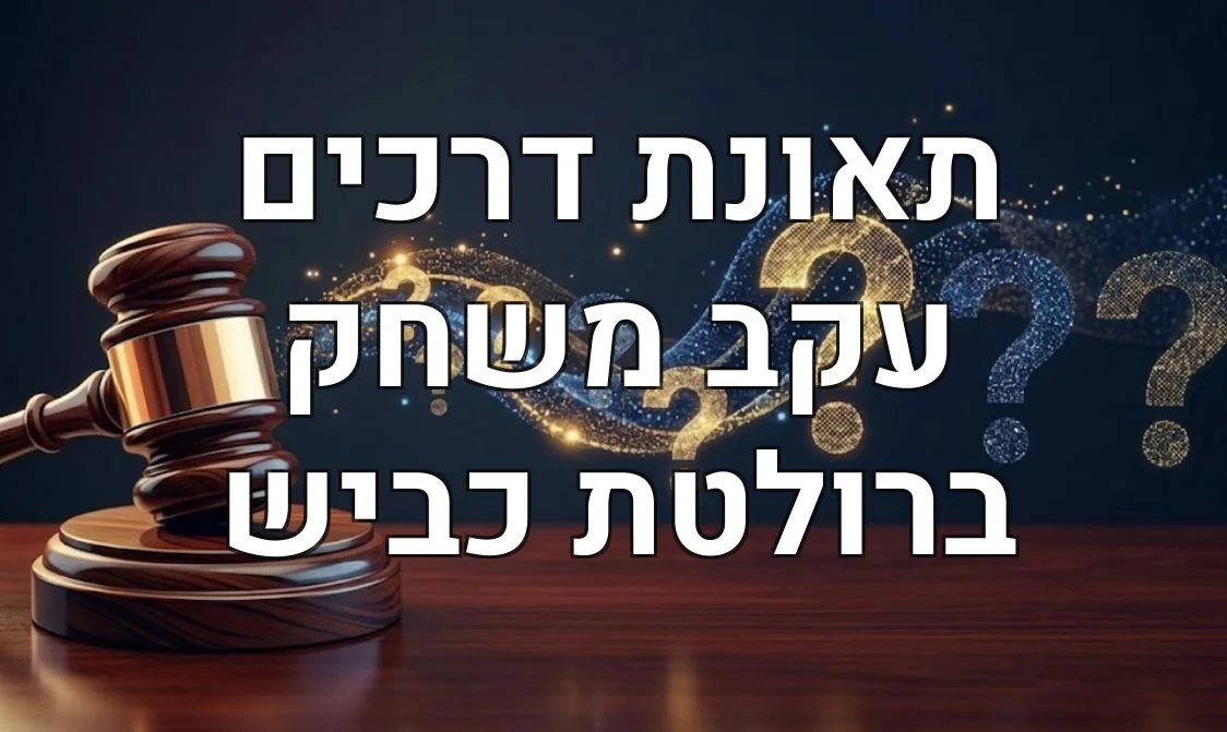 תאונת דרכים עקב משחק ברולטת כביש