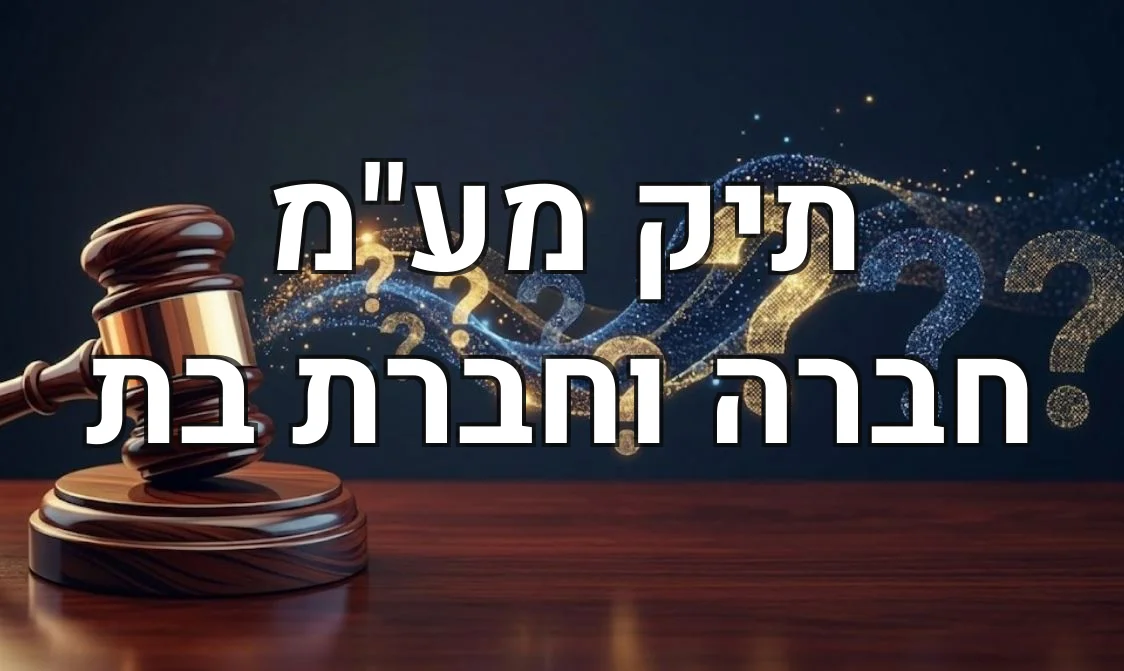 תיק מע"מ חברה וחברת בת